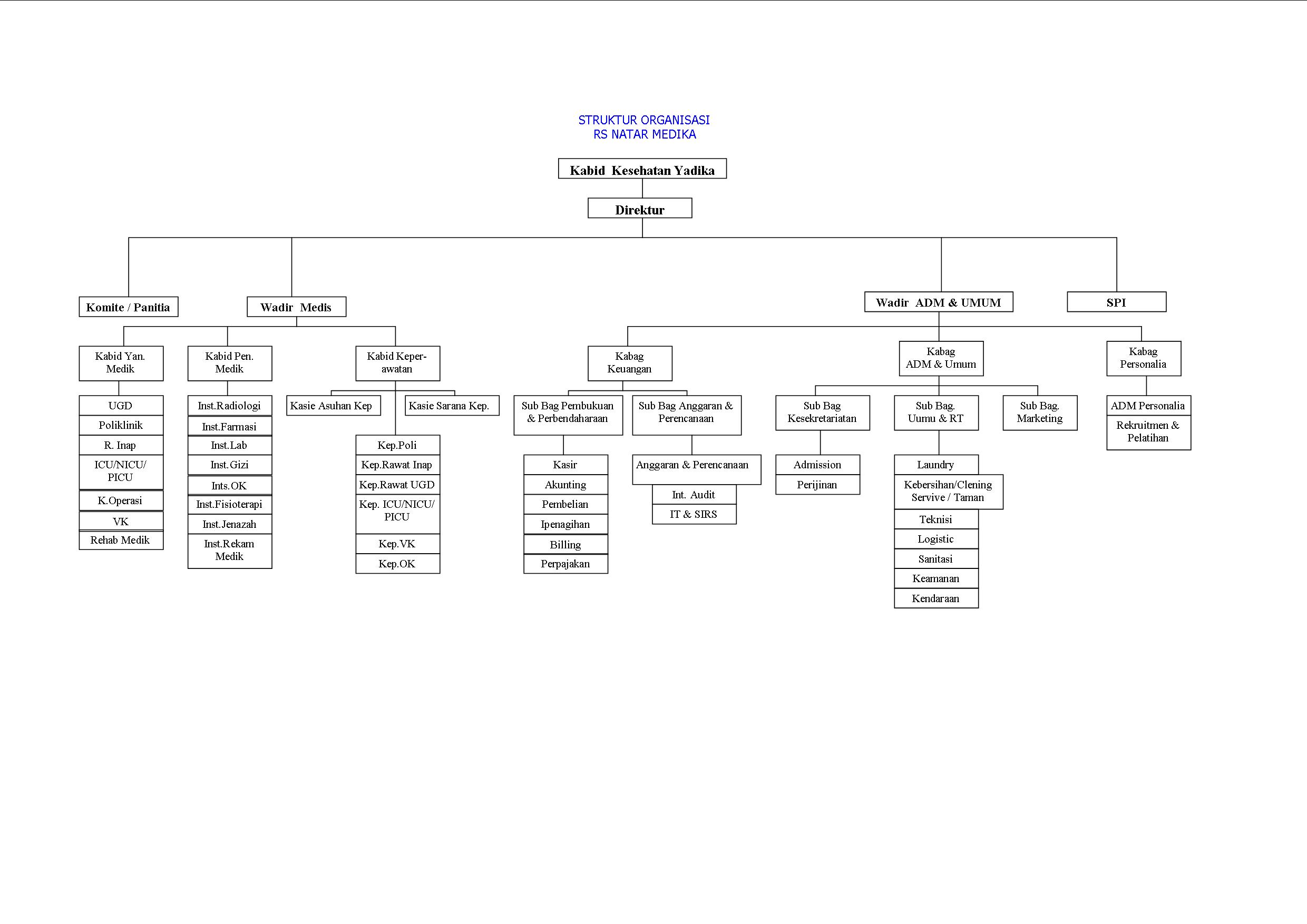 Contoh Struktur Organisasi Rumah Sakit